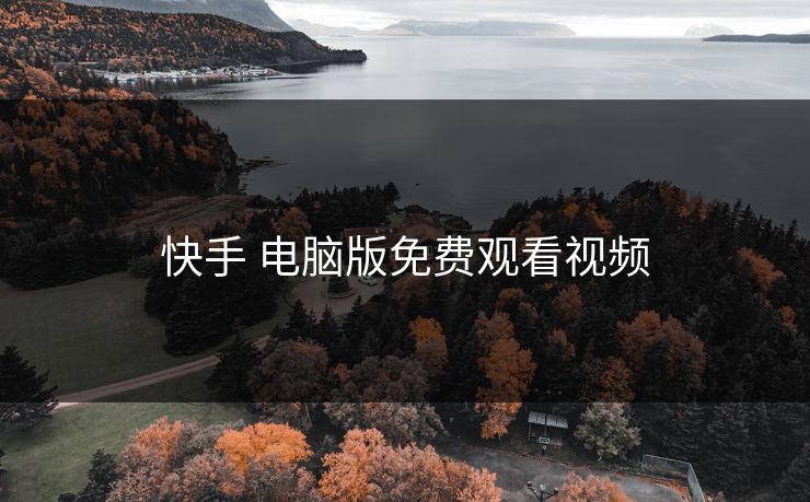 快手 电脑版免费观看视频