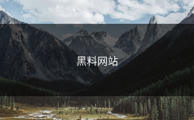 黑料网站