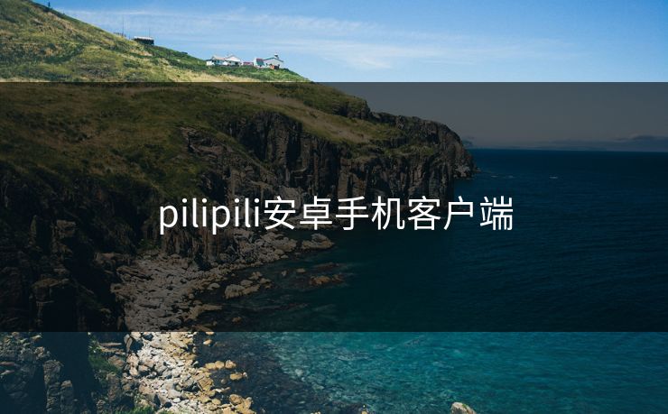pilipili安卓手机客户端